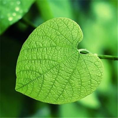 博盈体育软件下载官网